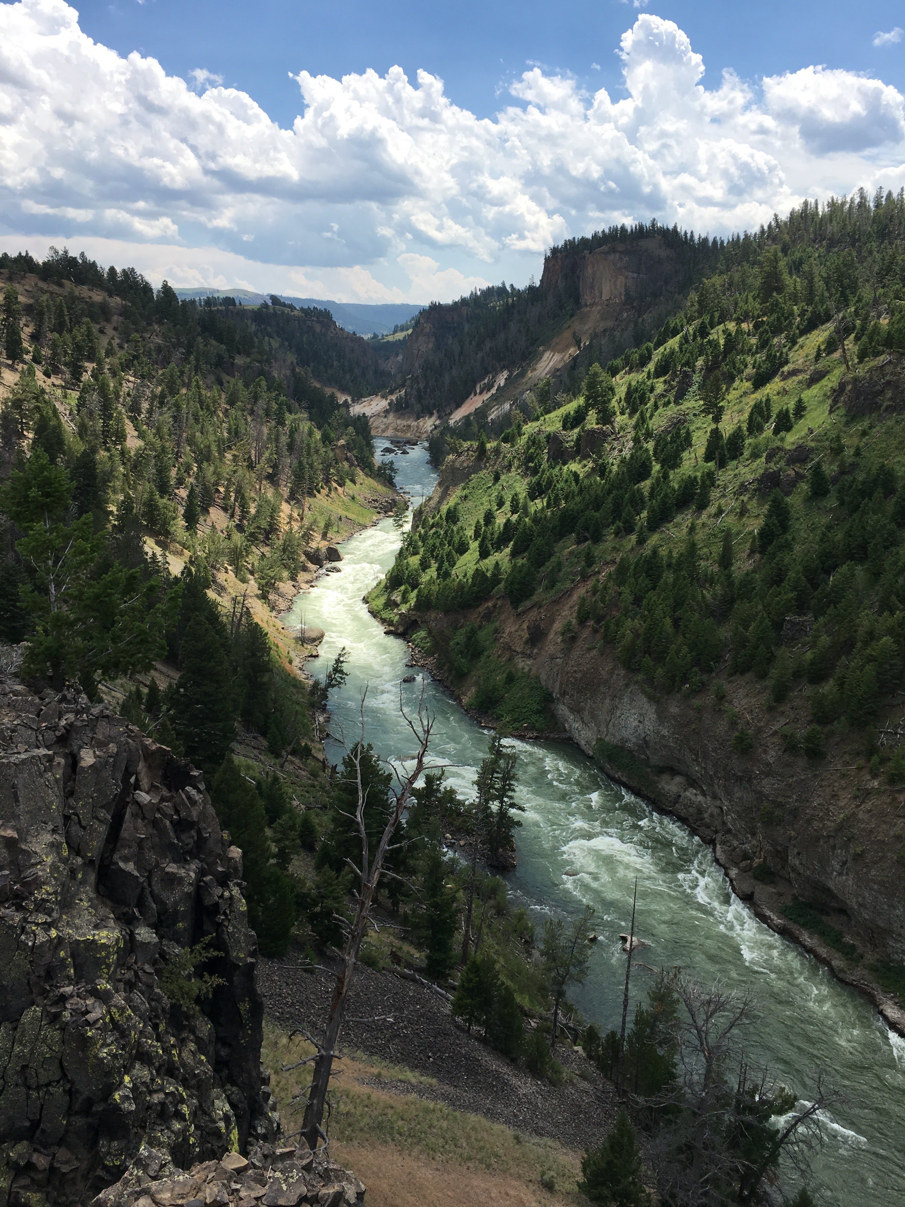 Yellowstone River | Trout On The Fly